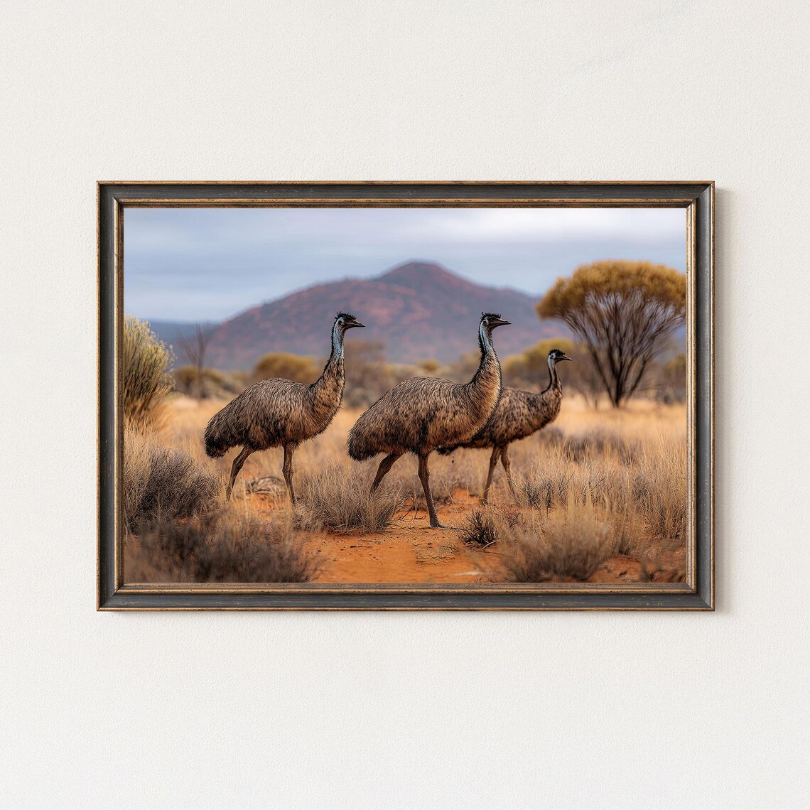 Emu Trio Photography Australian Outback Wildlife Nature Poster