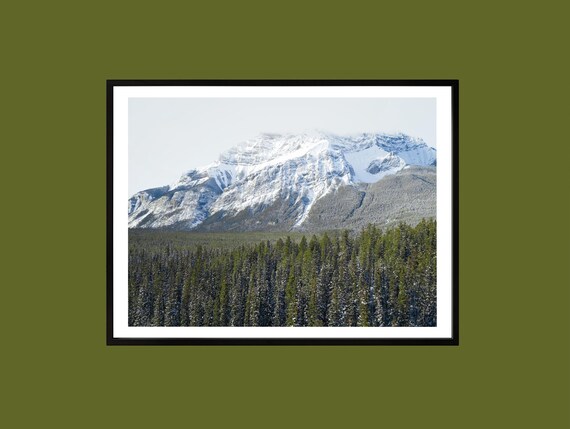 Winter Canadian Rockies Snowy Mountain Forest Photography Poster
