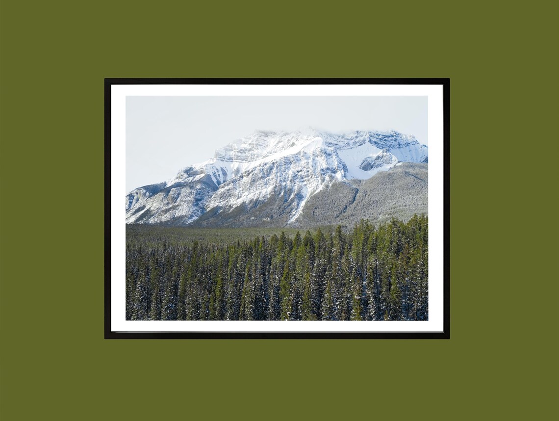 Winter Canadian Rockies Snowy Mountain Forest Photography Poster