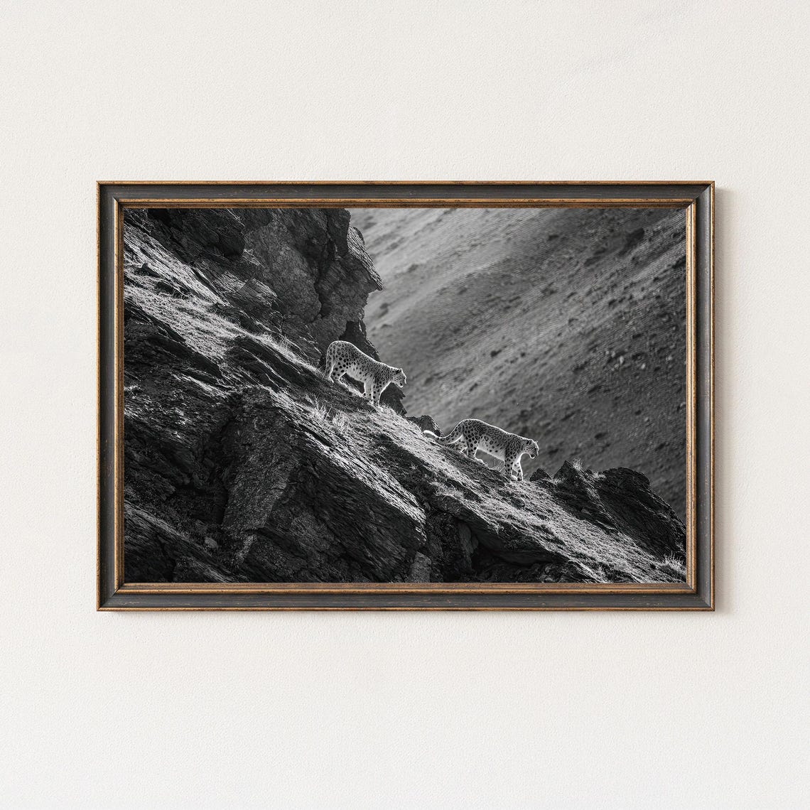 Prowling Snow Leopards Rocky Ridge Black White Wildlife Poster