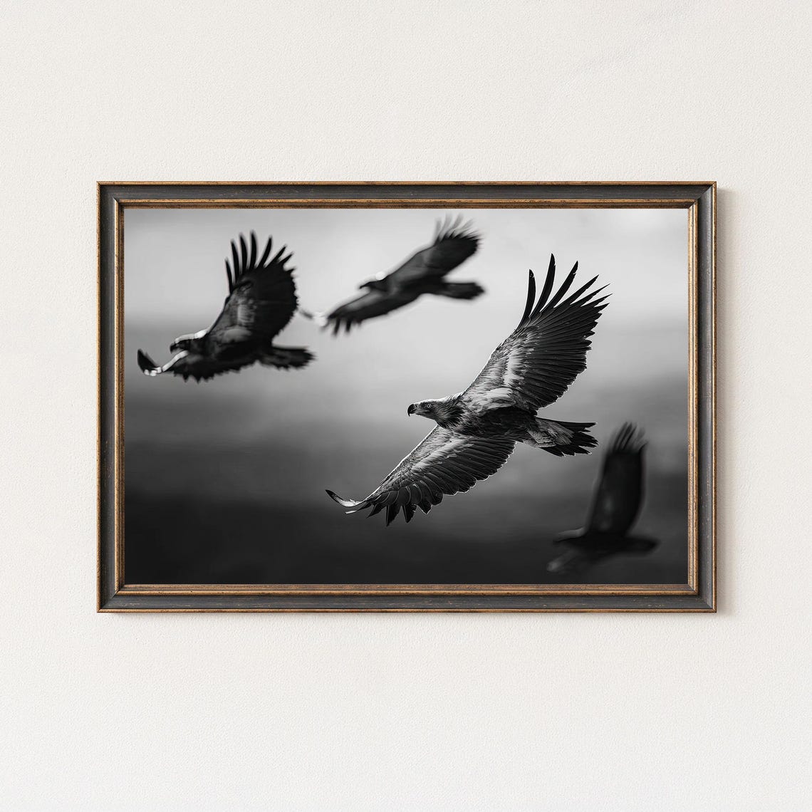 Dramatic Four Majestic Eagles in Flight Black White Sky Poster