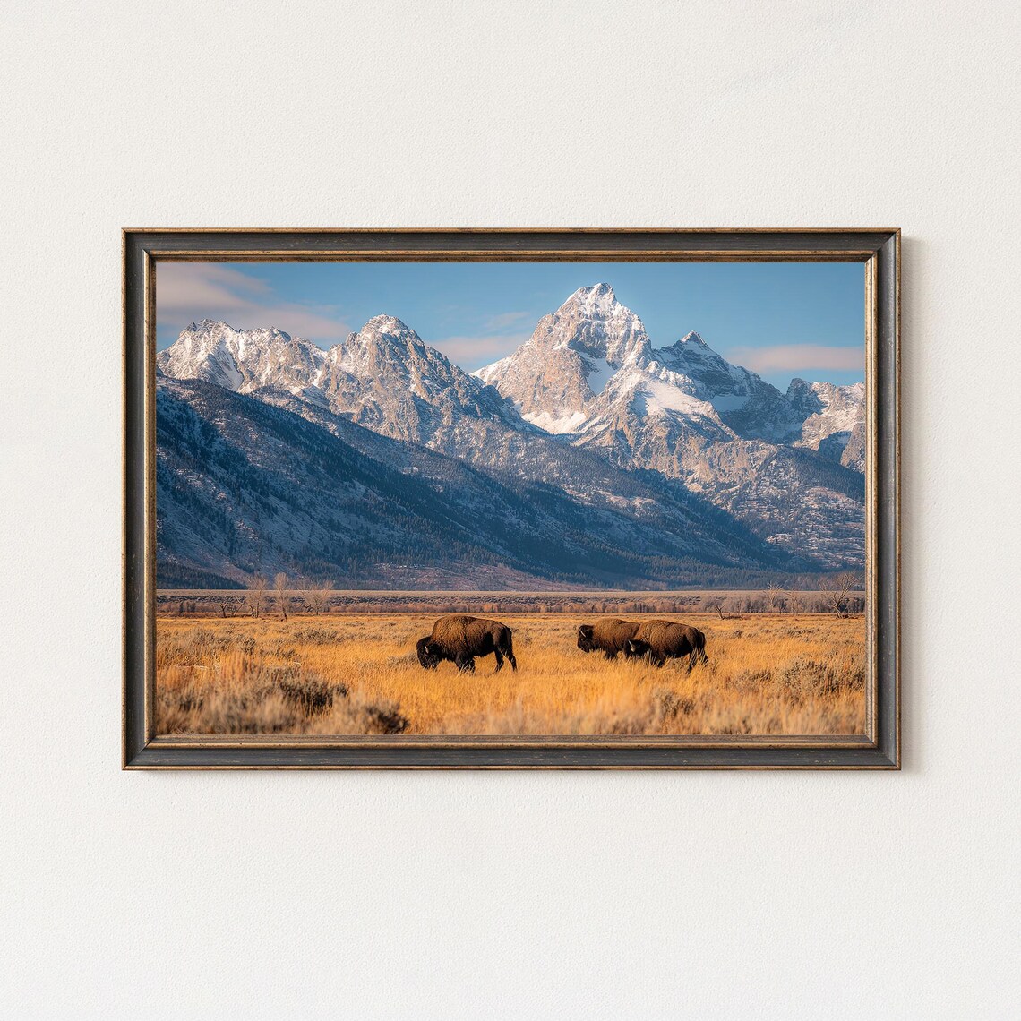 Grand Teton Bison Wyoming Mountain Landscape Wall Art Print