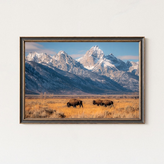 Grand Teton Bison Wyoming Mountain Landscape Wall Art Print