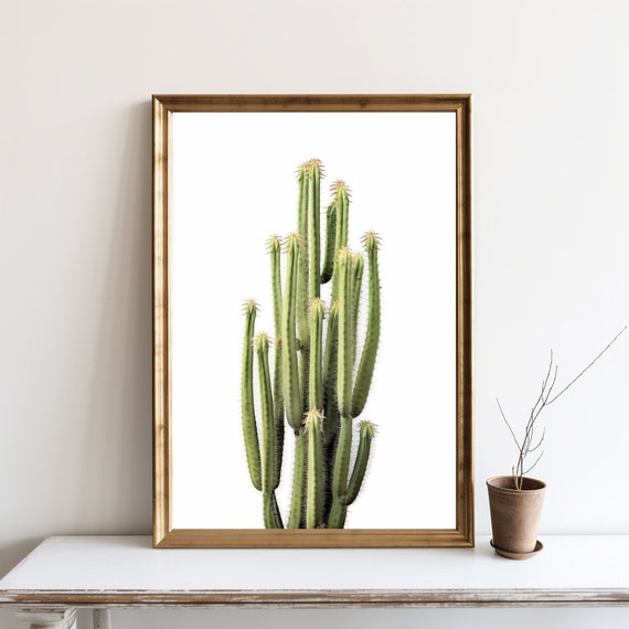Cactus Art Print, Desert Home Decor