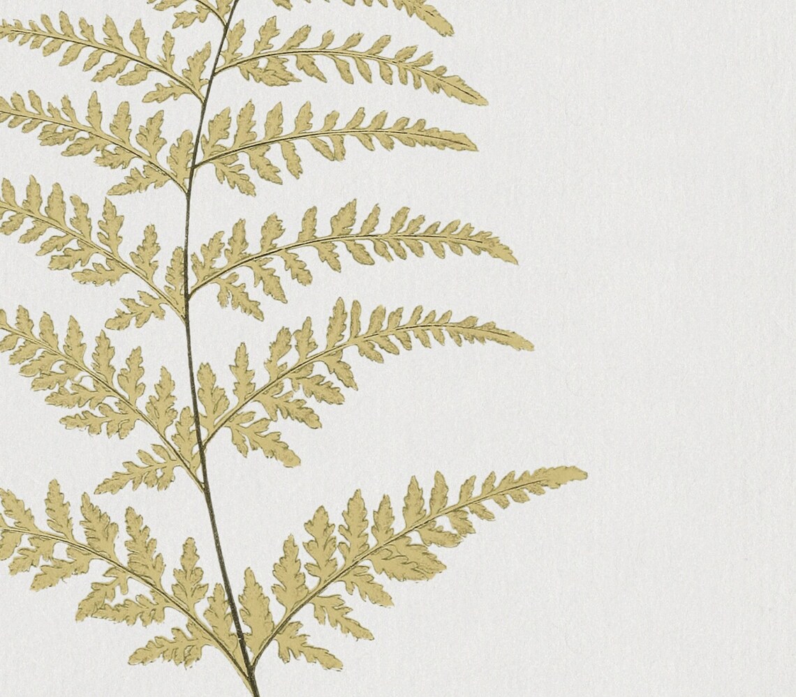 Fern Frond Vintage Botanical Art Print, Minimal Plant - Image 3