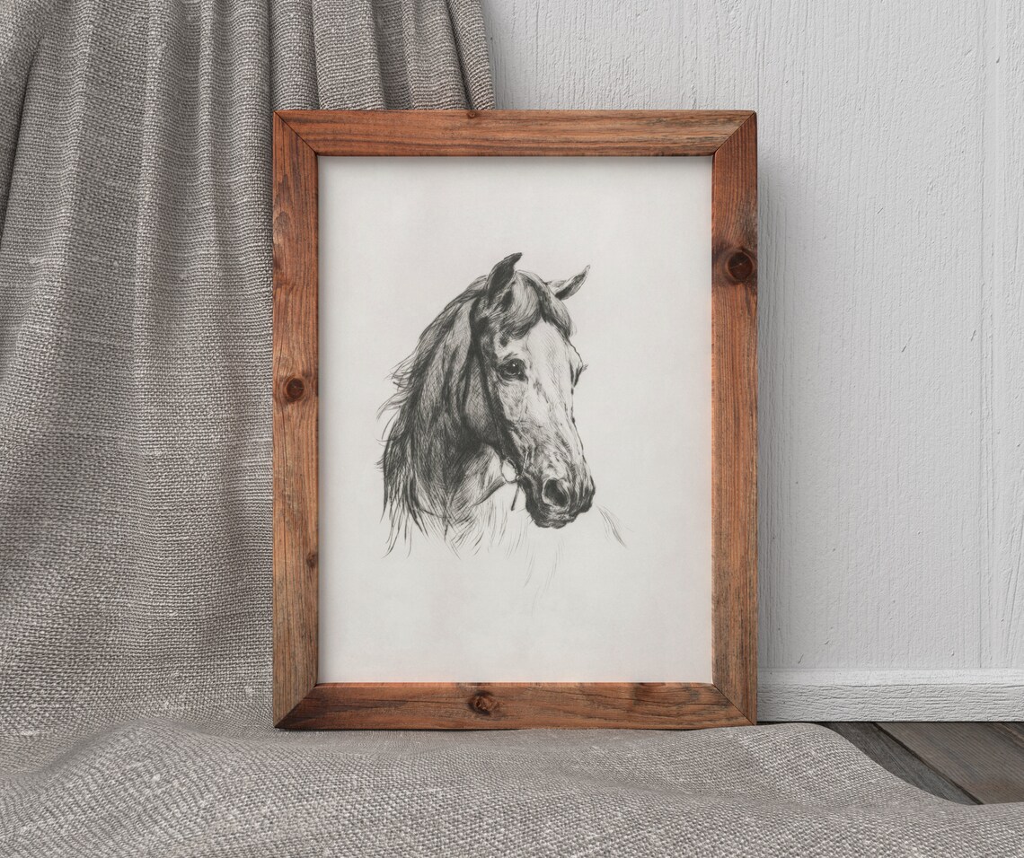 Horse Etching Vintage Black and White Art Print - Image 4