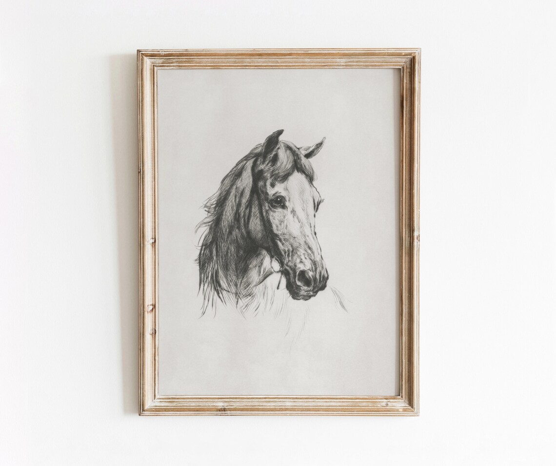 Horse Etching Vintage Black and White Art Print