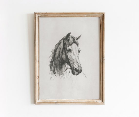 Horse Etching Vintage Black and White Art Print