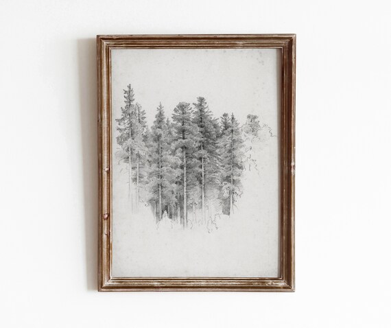 Tree Study Sketch Vintage Black And White Art Print