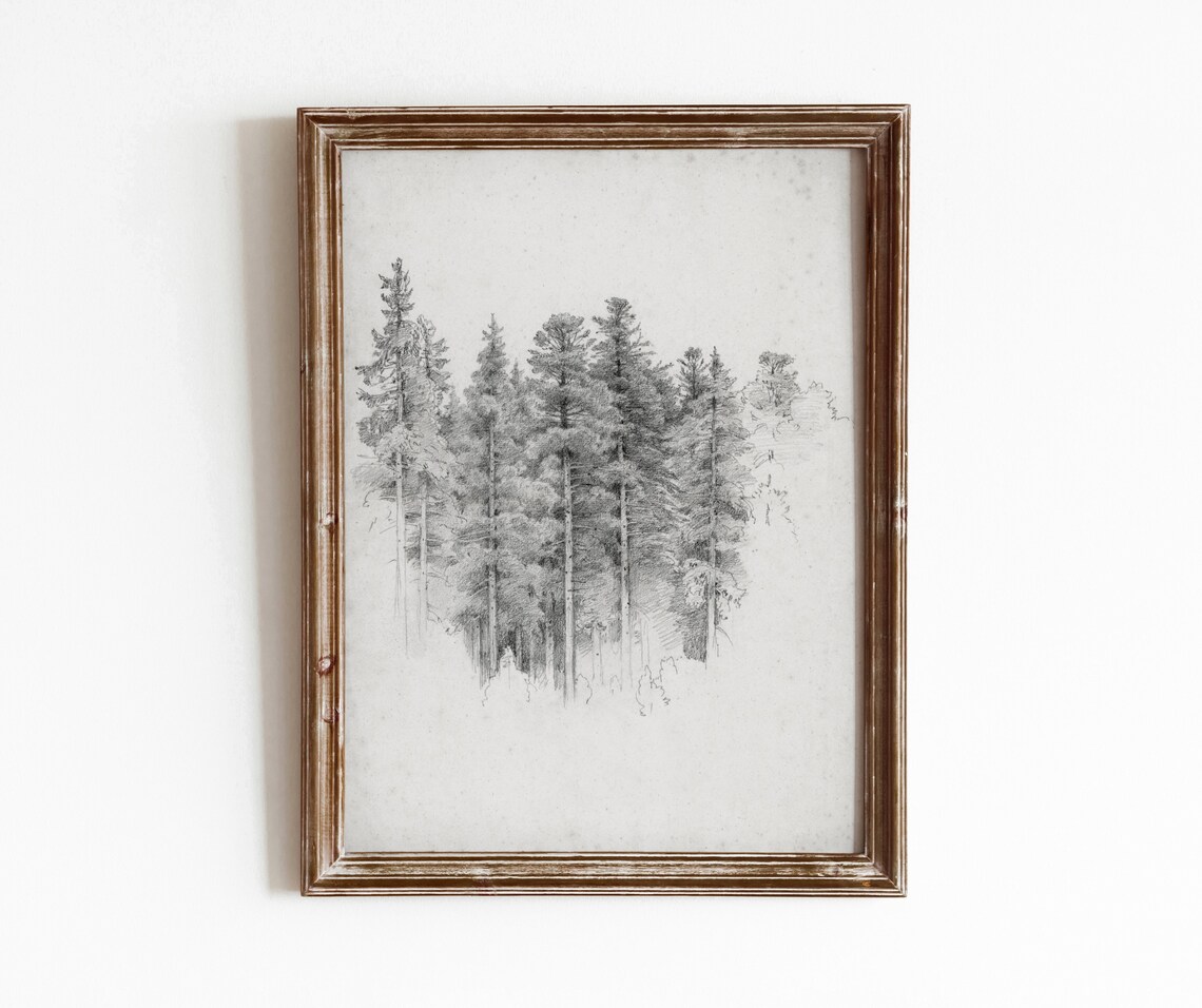Tree Study Sketch Vintage Black And White Art Print