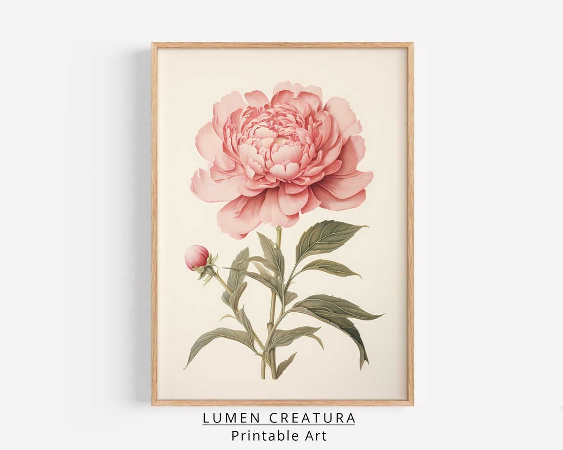 Vintage Rose Art Print, Antique Botanical Flower