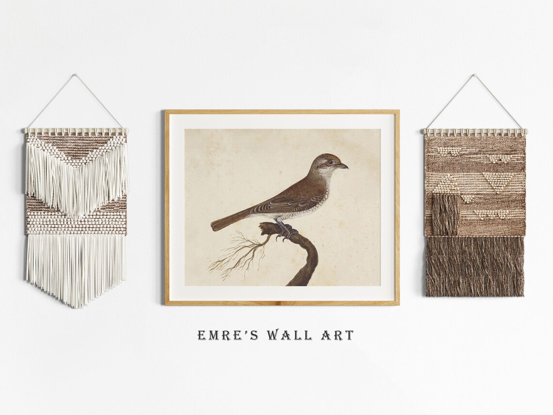 Antique Brown Bird Painting Vintage Songbird Branch Botanical Poster - Image 2