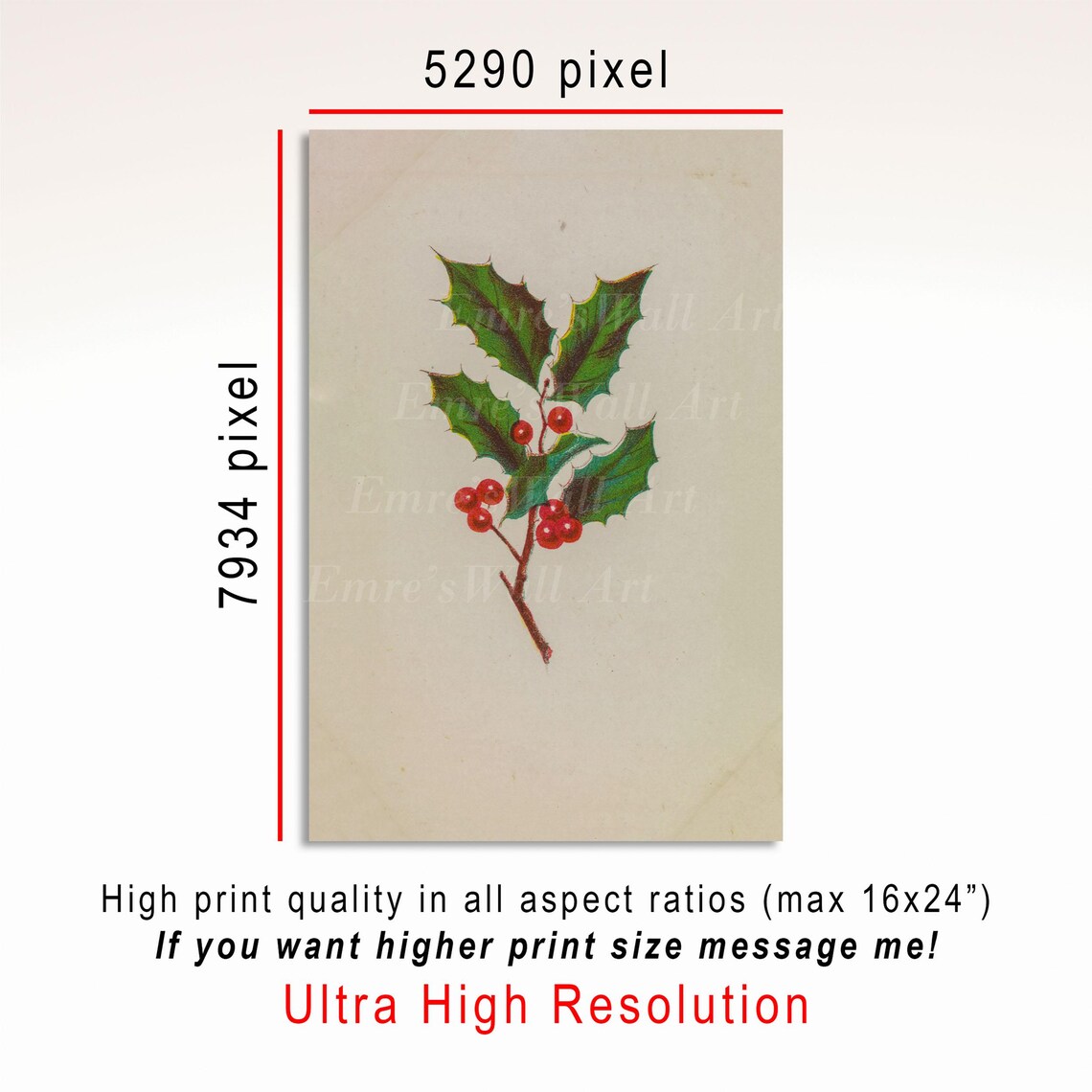 Holly Branch with Red Berries Vintage Christmas Botanical Poster - Image 3