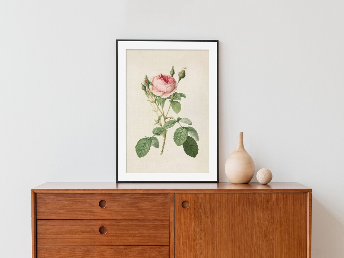 Vintage Rose Print, Antique Floral Wall Art - Image 4