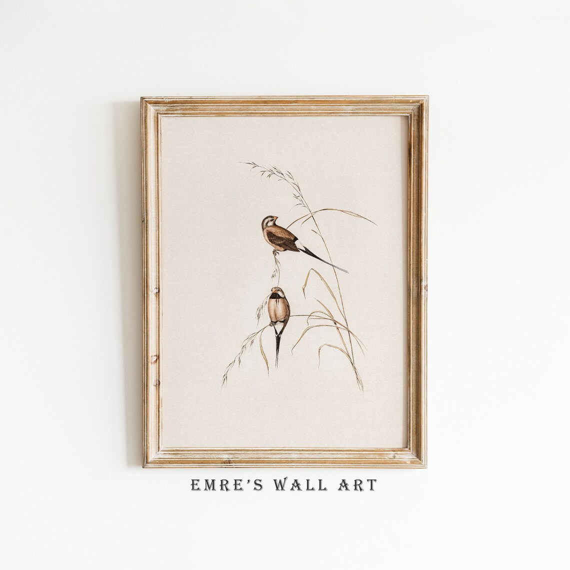 Vintage Bird Drawing Art Print, Nursery Decor