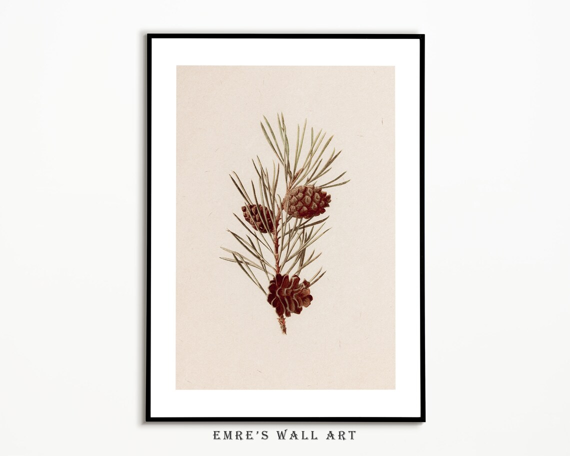 Country Christmas Pine Cone and Pine Branch Print - Image 2