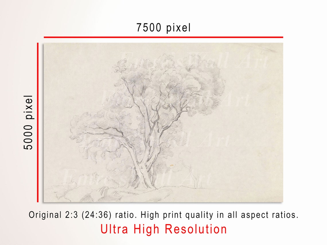 Tree Pencil Sketch Minimalist Botanical Drawing Neutral Wall Art - Image 3