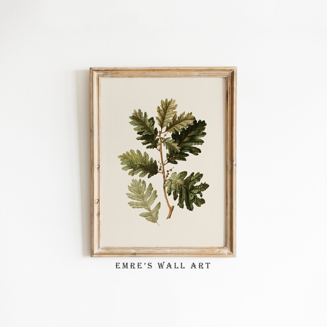 Vintage Botanical Tree Branch Art Print, Rustic Sketch