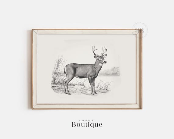 White-Tailed Deer Sketch, Neutral Farmhouse Art Print