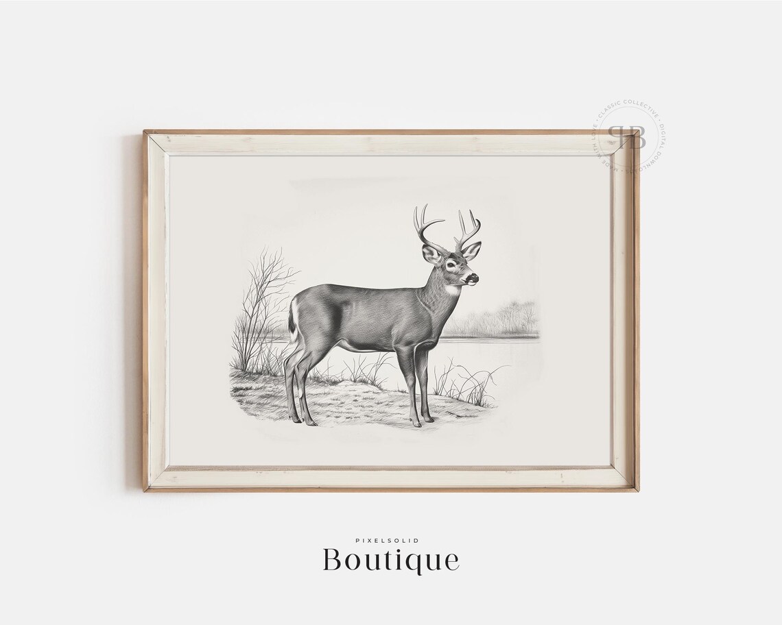 White-Tailed Deer Sketch, Neutral Farmhouse Art Print