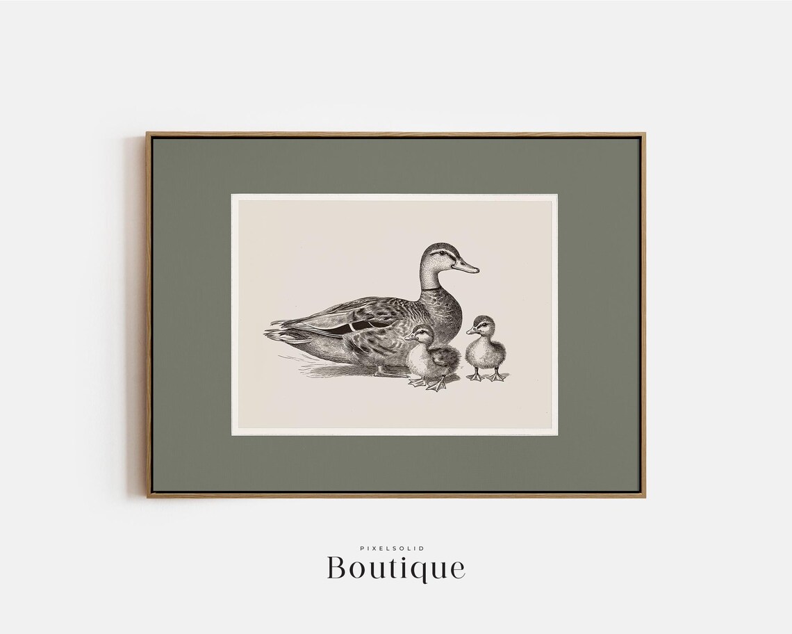 Mother Duck and Two Ducklings Monochrome Sketch Wildlife Print