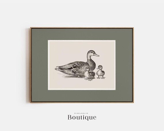 Mother Duck And Ducklings Art Print Wildlife Illustration Bird Family Wall Decor Animal Lover Gift Rustic Farmhouse No472
