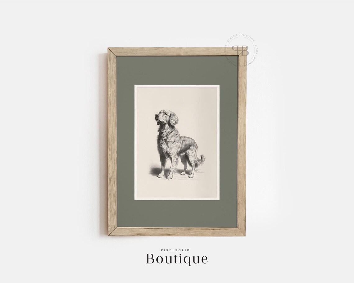 Golden Retriever Dog Antique Black And White Portrait Sketch Poster
