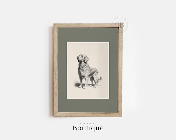 Golden Retriever Art Print Antique Dog Illustration Rustic Vintagestyle Decor Pet Portrait Lover Gift Black White No476