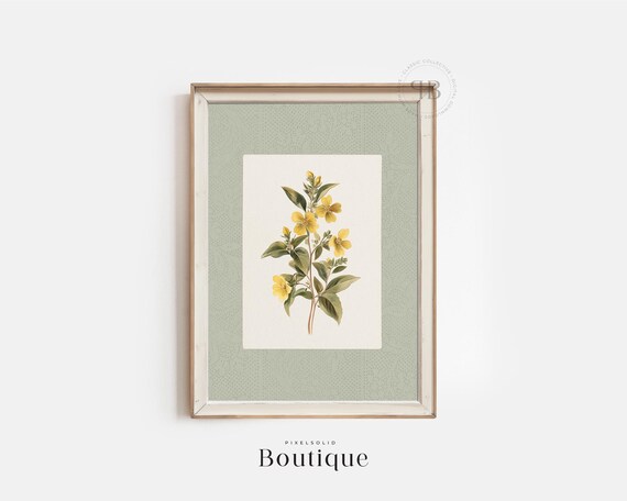 Yellow Botanical Print Vintage Style Flower Illustration Floral Wall Art Antique Nature Decor Kitchen Artwork No702