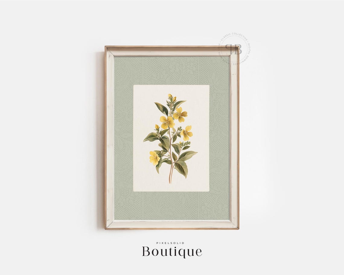 Yellow Wildflower Vintage Botanical Illustration Antique Poster