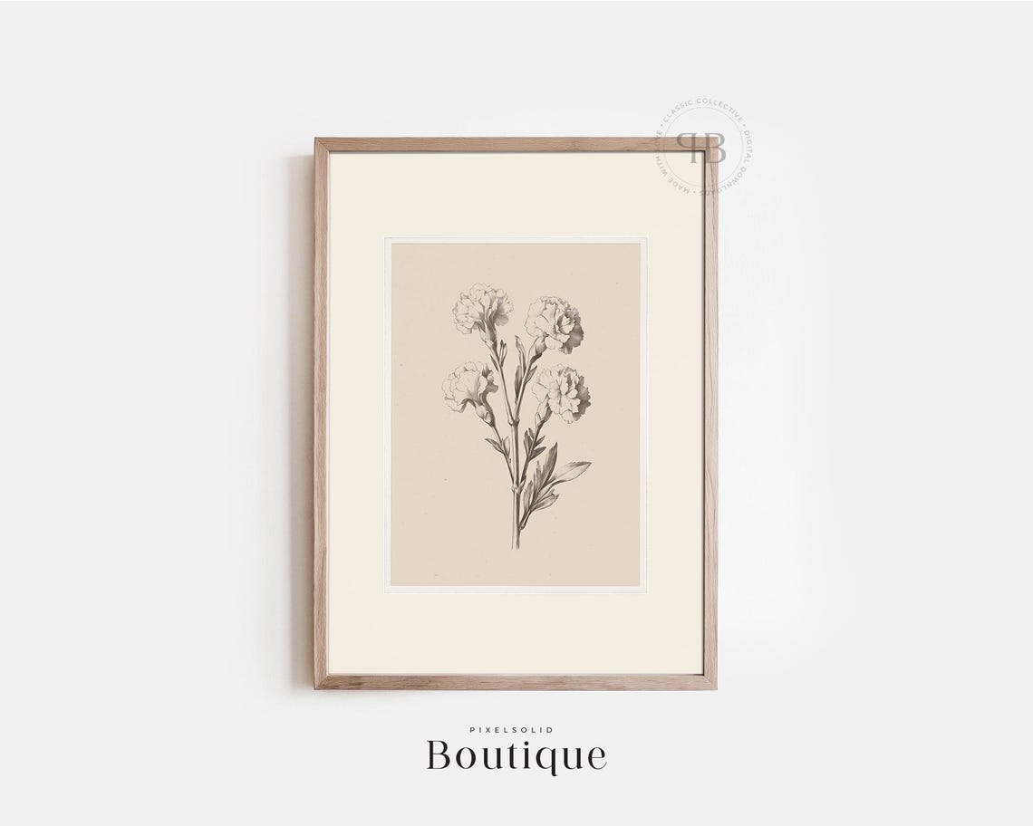 Vintage Carnation Botanical Floral Illustration Neutral Fine Art Print