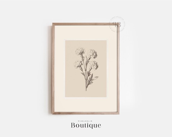 Carnation Botanical Print Vintagestyle Flower Illustration Wall Art Neutral Floral For Home Dcor No628