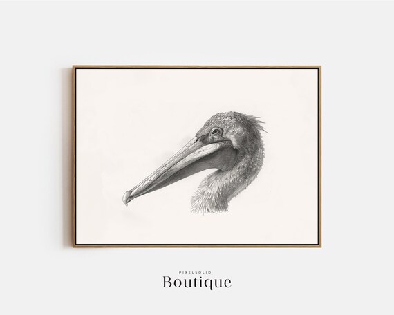 Pelican Sketch Neutral Bird Illustration Print Coastal Decor Nautical Drawing Minimalist Art No373