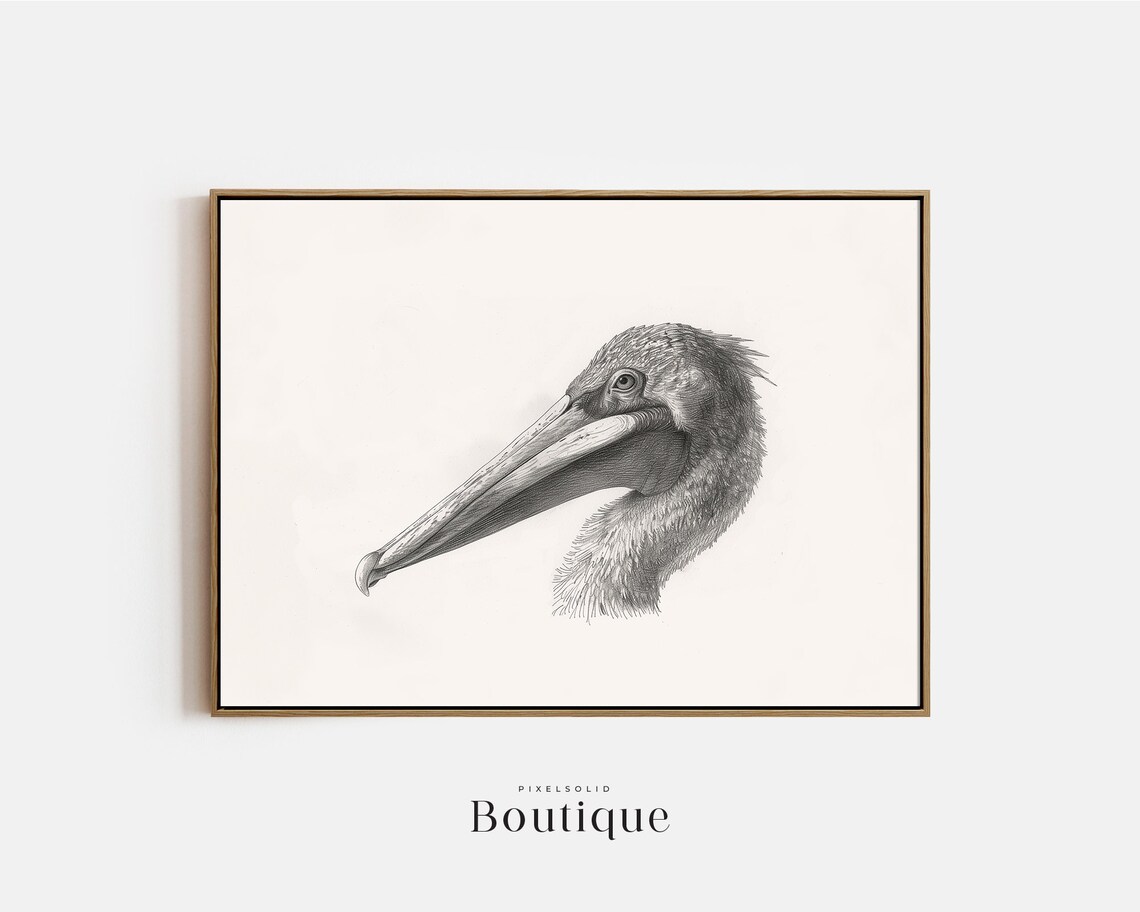 Pelican Head Pencil Sketch Minimalist Coastal Bird Art Print