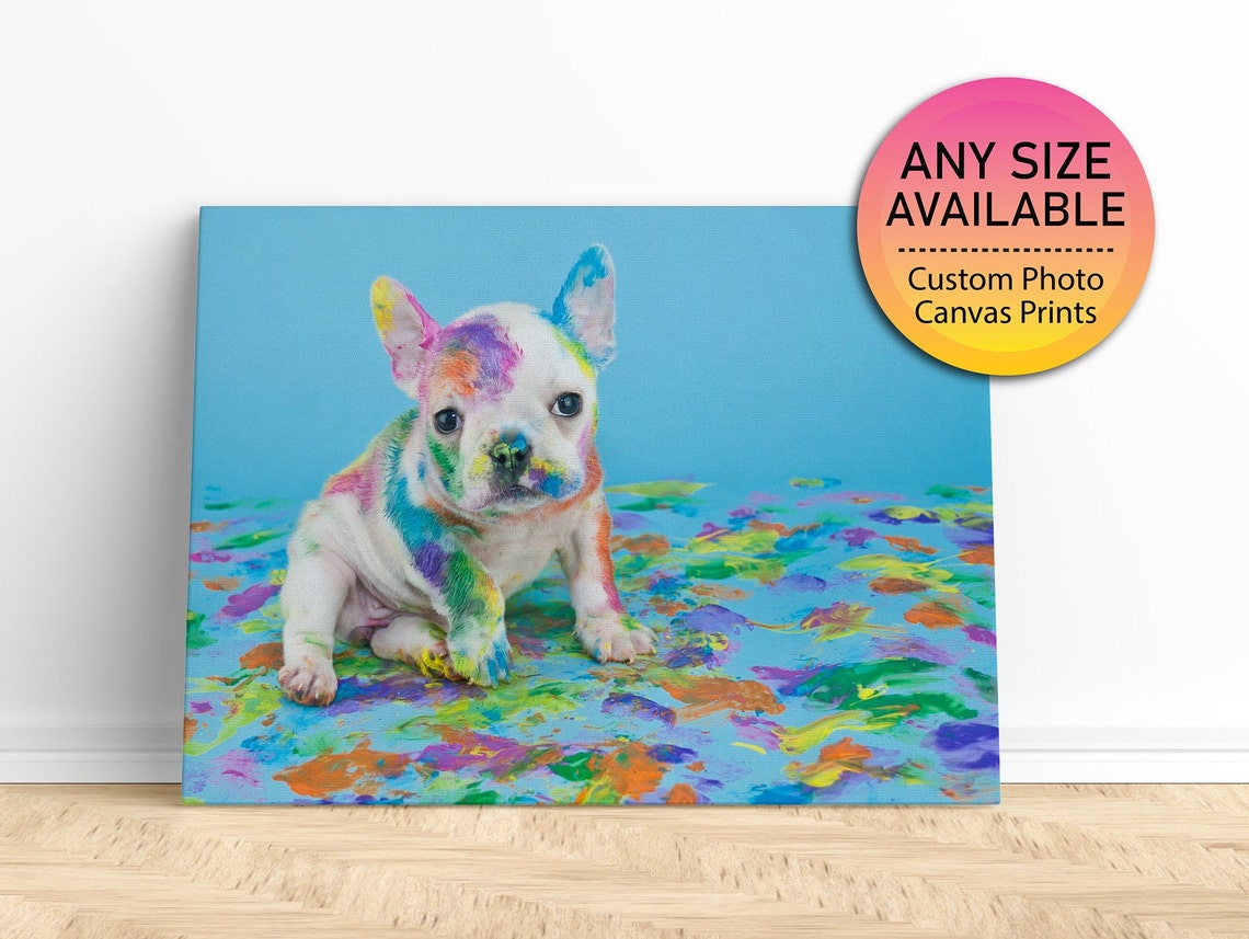 Custom Pet Portraits All Sizes Pet Portrait From Photo Pet Memorial Dog Portrait Pet Photo Photo Print Photo On
