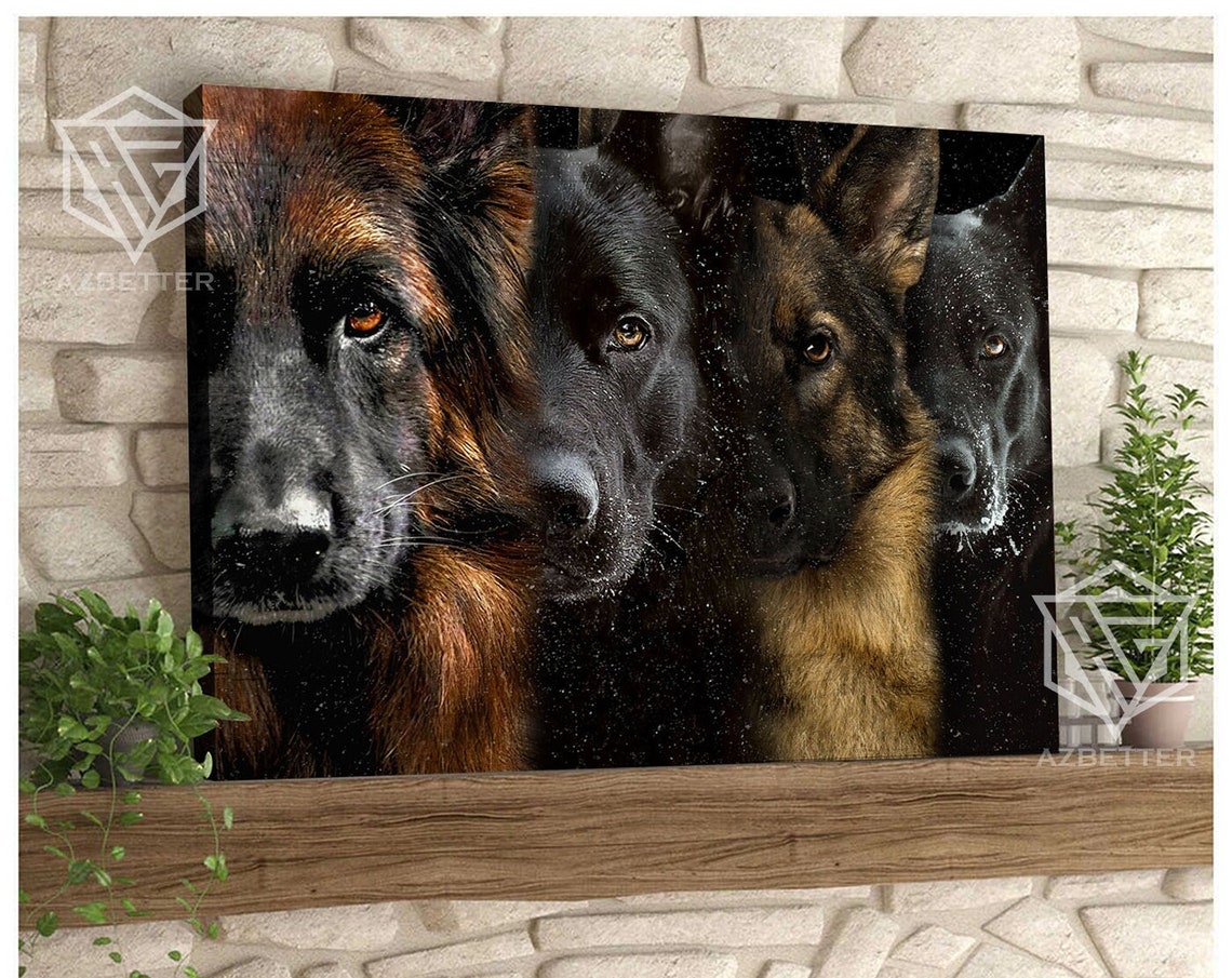 Four German Shepherd Dog Faces Close-Up Dramatic Portrait Poster