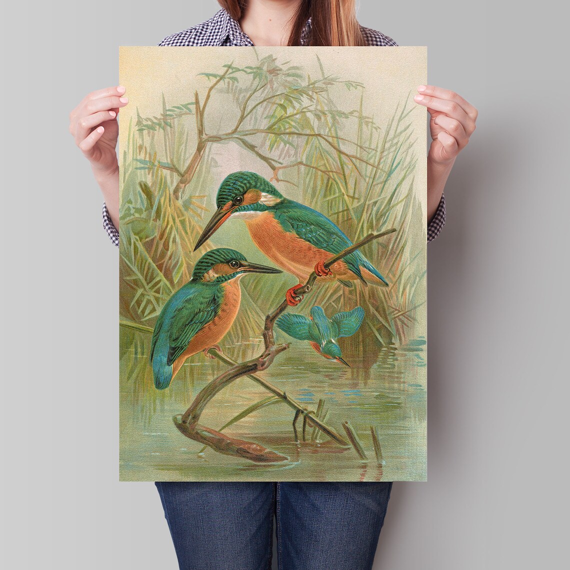 Three Kingfishers Perched by Water Vintage Naturalist Bird Art Poster - Image 4
