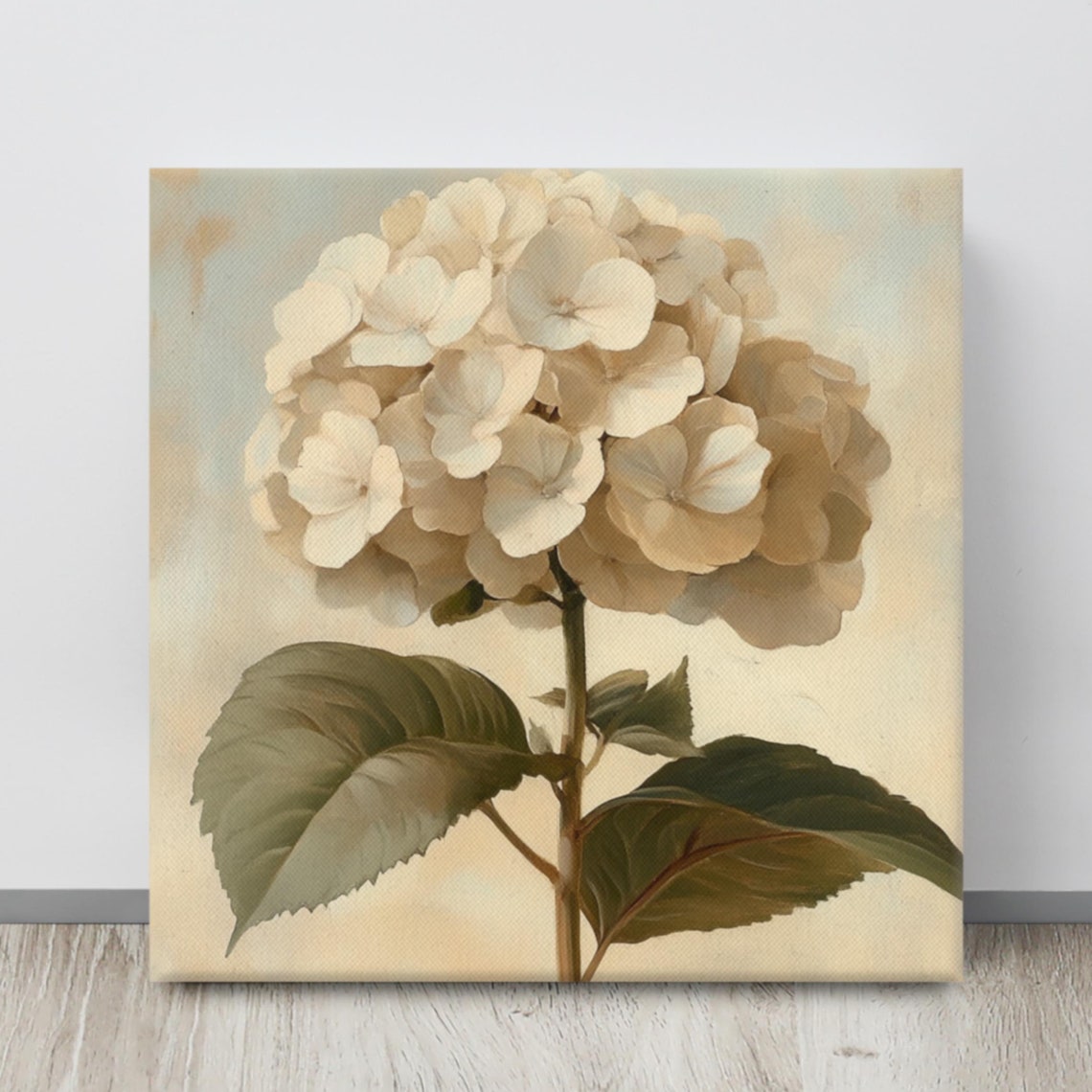Cream White Hydrangea Bloom Vintage Botanical Illustration Poster