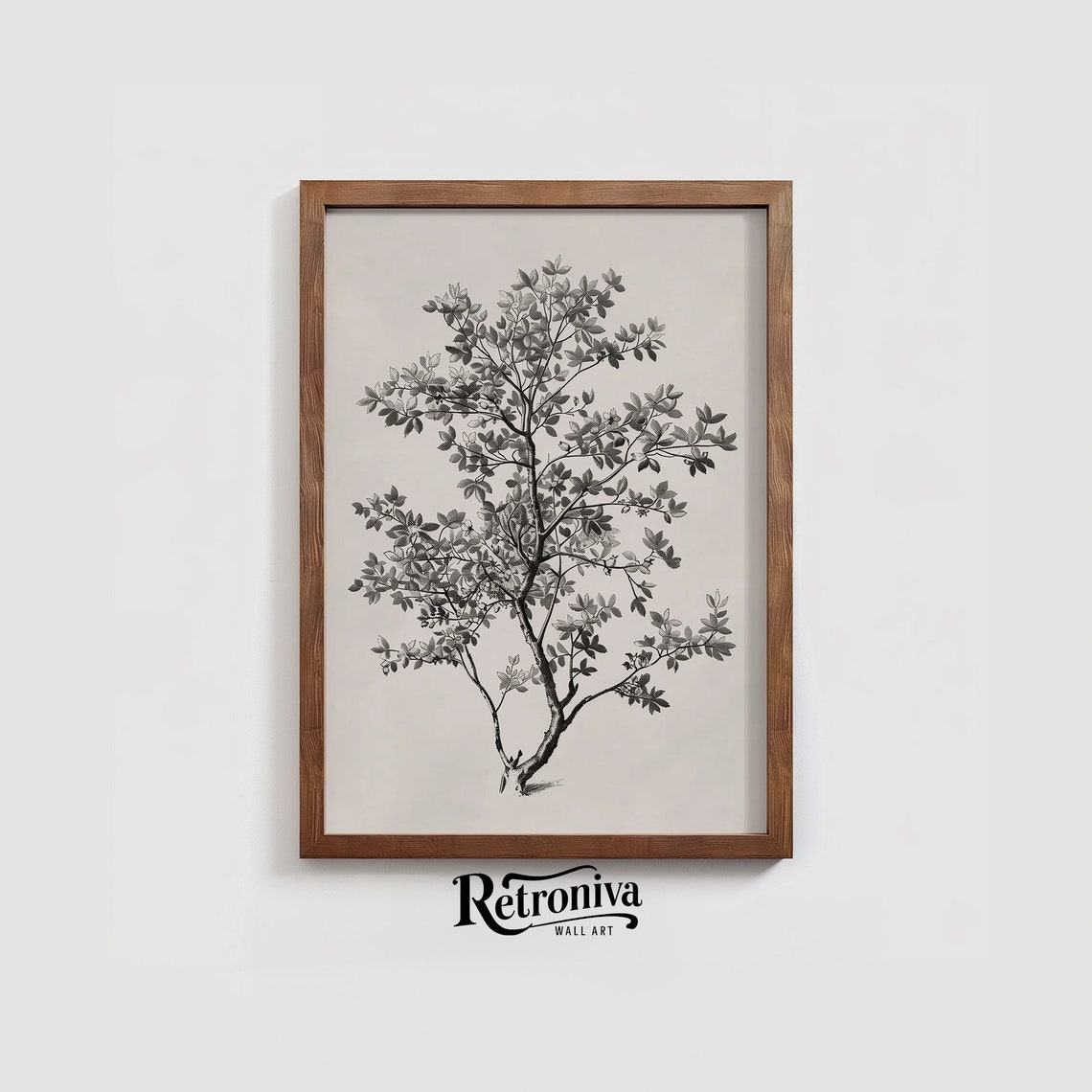 Antique Black And White Botanical Shrub Drawing Vintage Poster - Image 3
