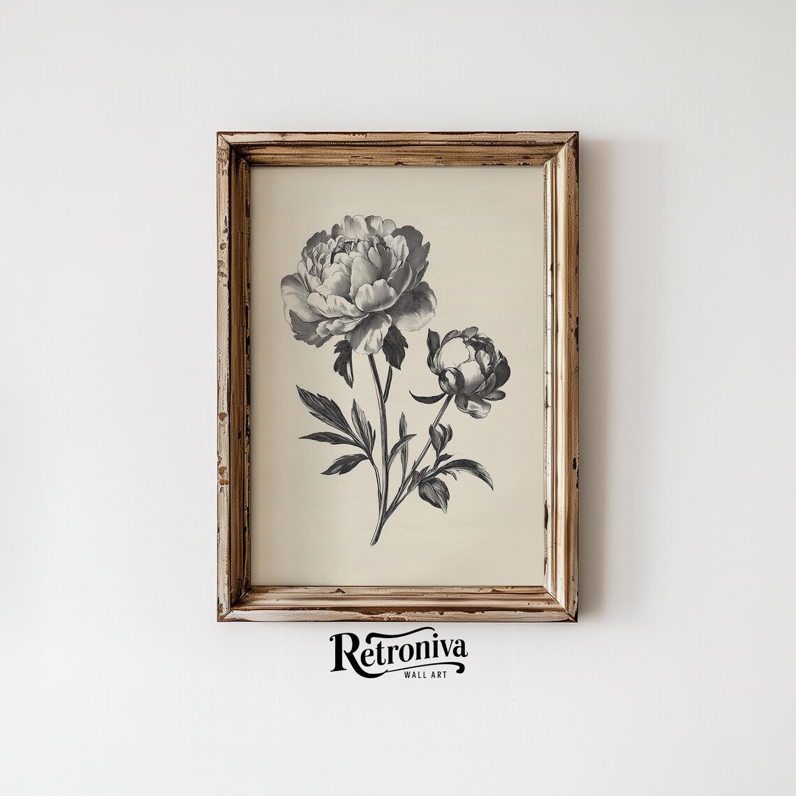 Vintage Peony Sketch Drawing, Botanical Art Print - Image 6