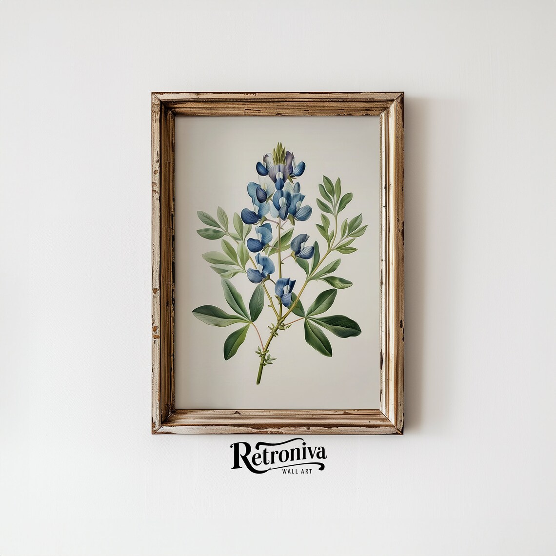 Blue Flower Vintage Botanical Print, Lupinus - Image 4