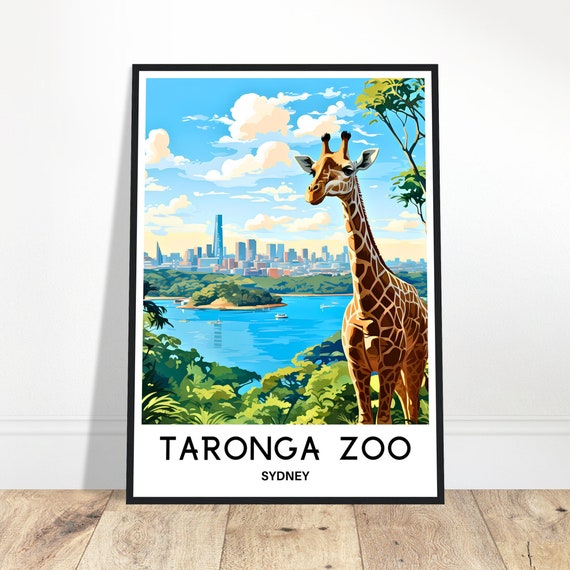 Taronga Zoo Travel Print Poster Australian Art Australia Lover Gift Wall Hanging Home Decor Sydney Illustration