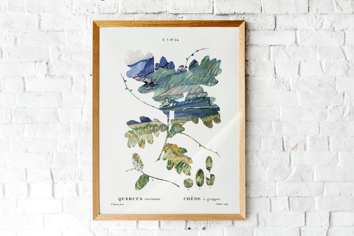 Vintage Botanical Oak Leaf Quercus Racemosa French Plate Poster
