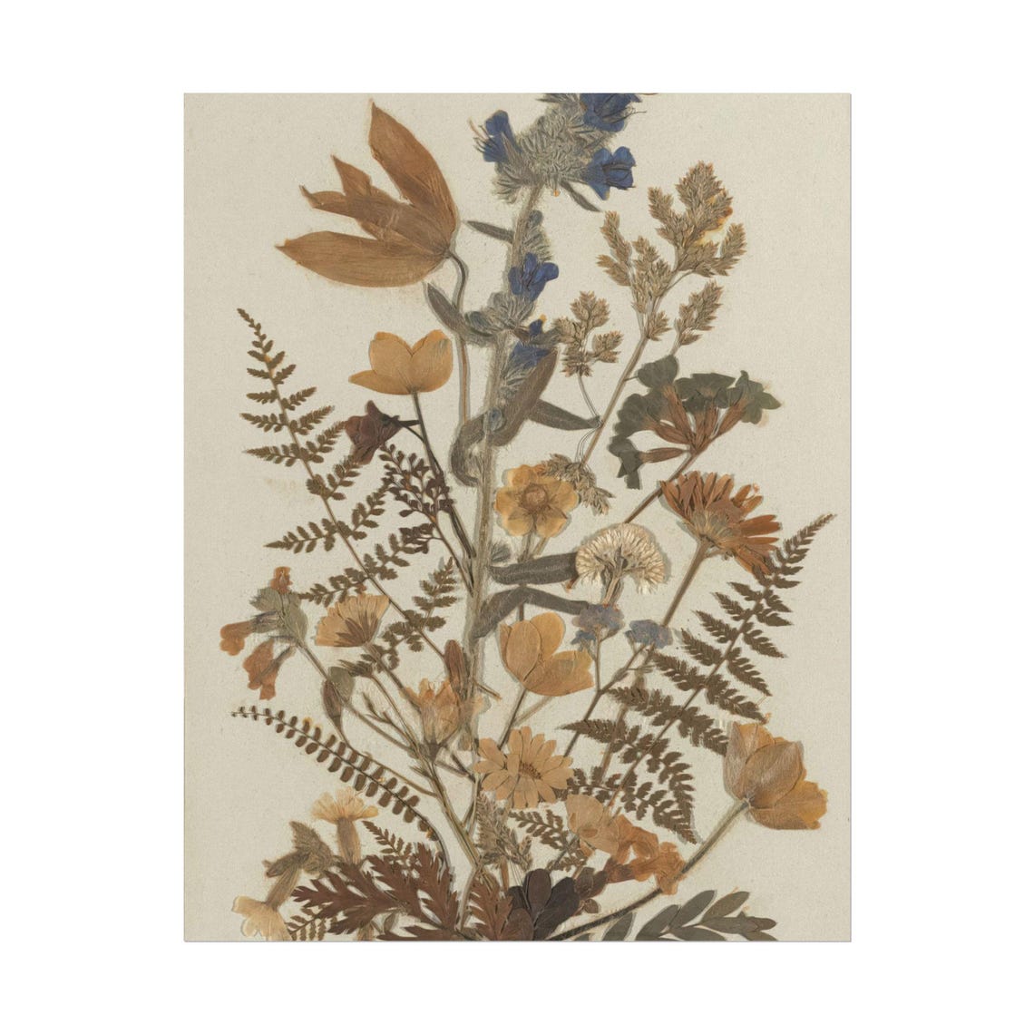 Dried Autumn Wildflowers with Ferns Vintage Pressed Botanical Poster - Image 4