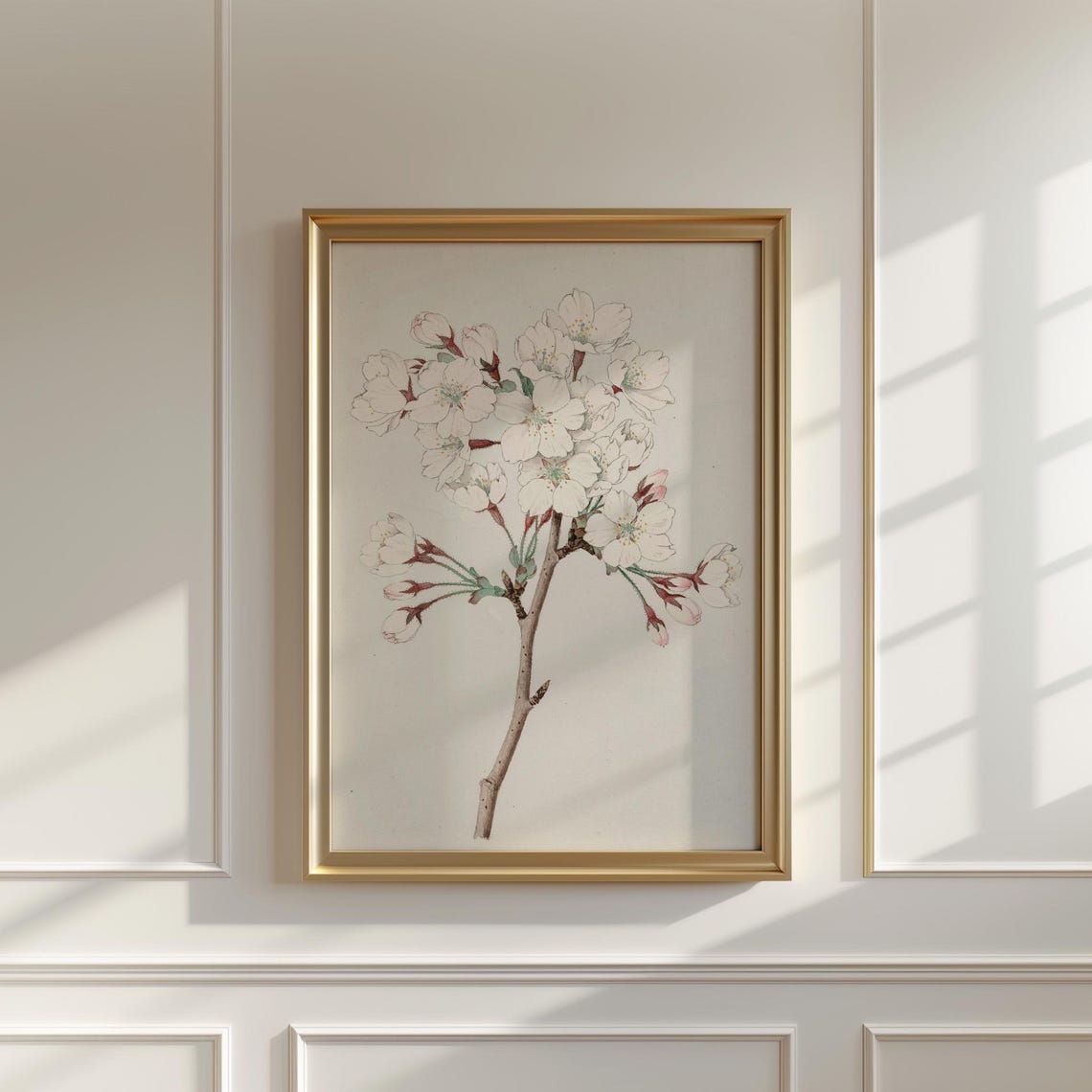 White Cherry Blossom Branch Vintage Botanical Illustration Poster - Image 5