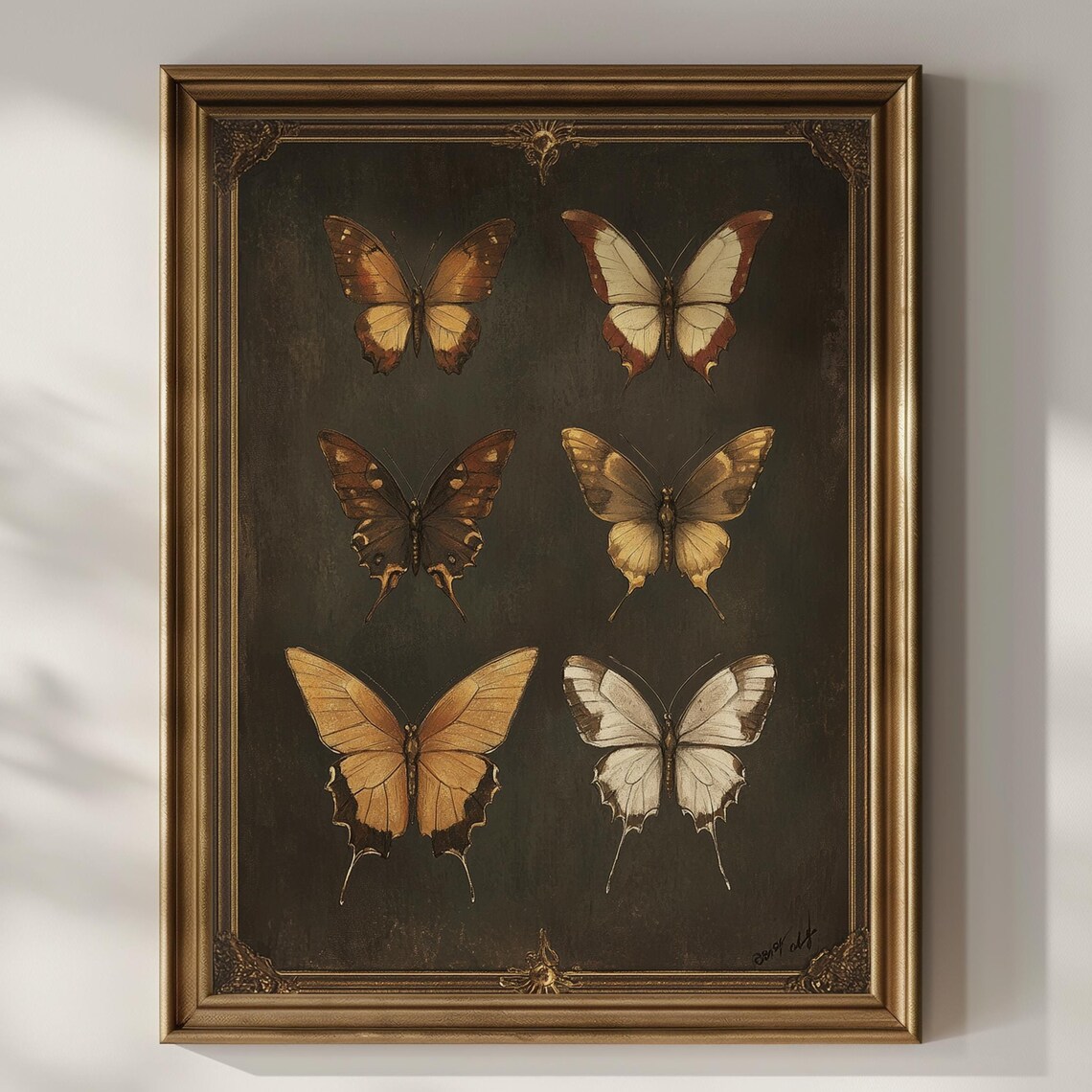 Six Butterflies Vintage Specimen Chart Warm Tones Entomology Art Poster