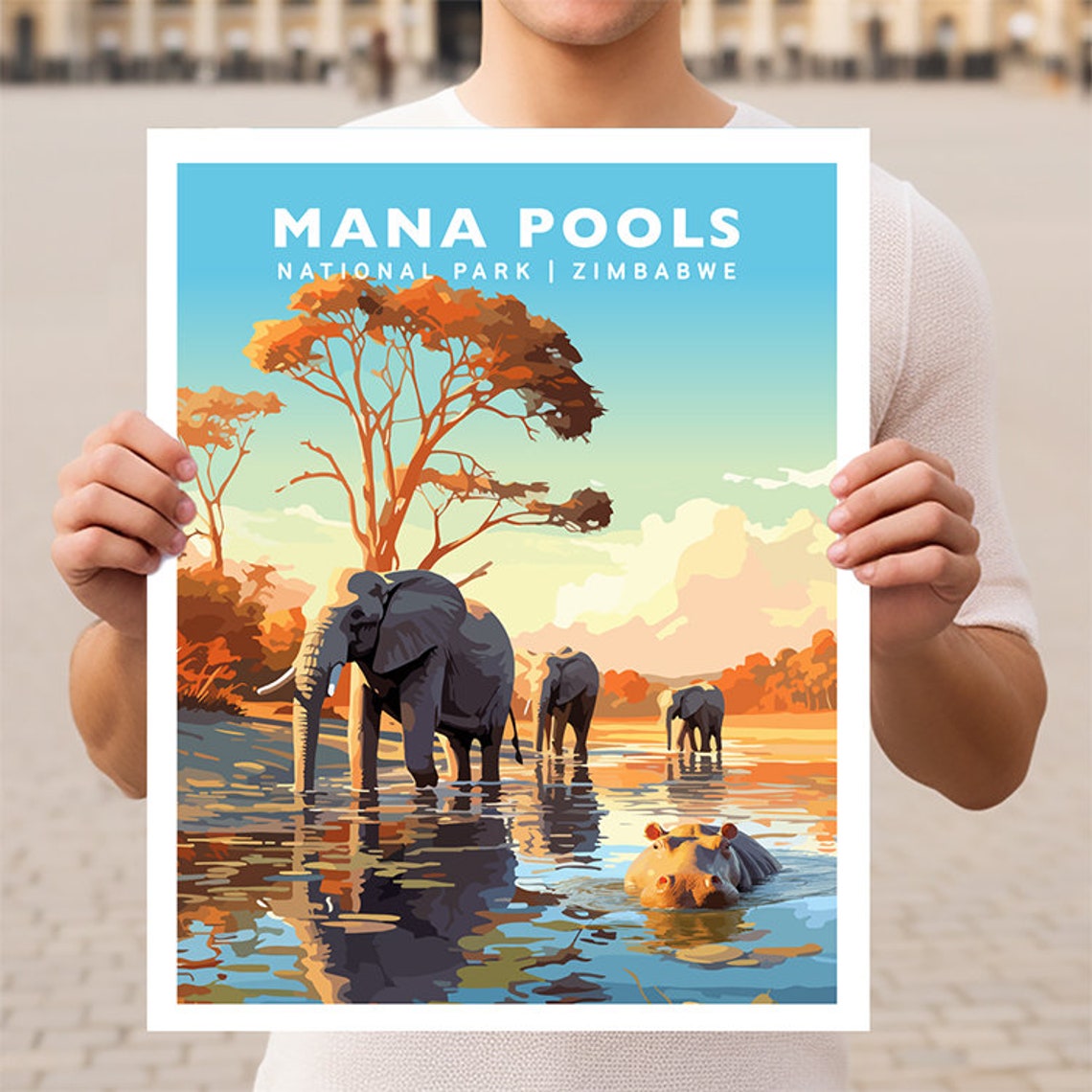 Mana Pools Zimbabwe Elephants Hippo Water Safari Retro Travel Poster