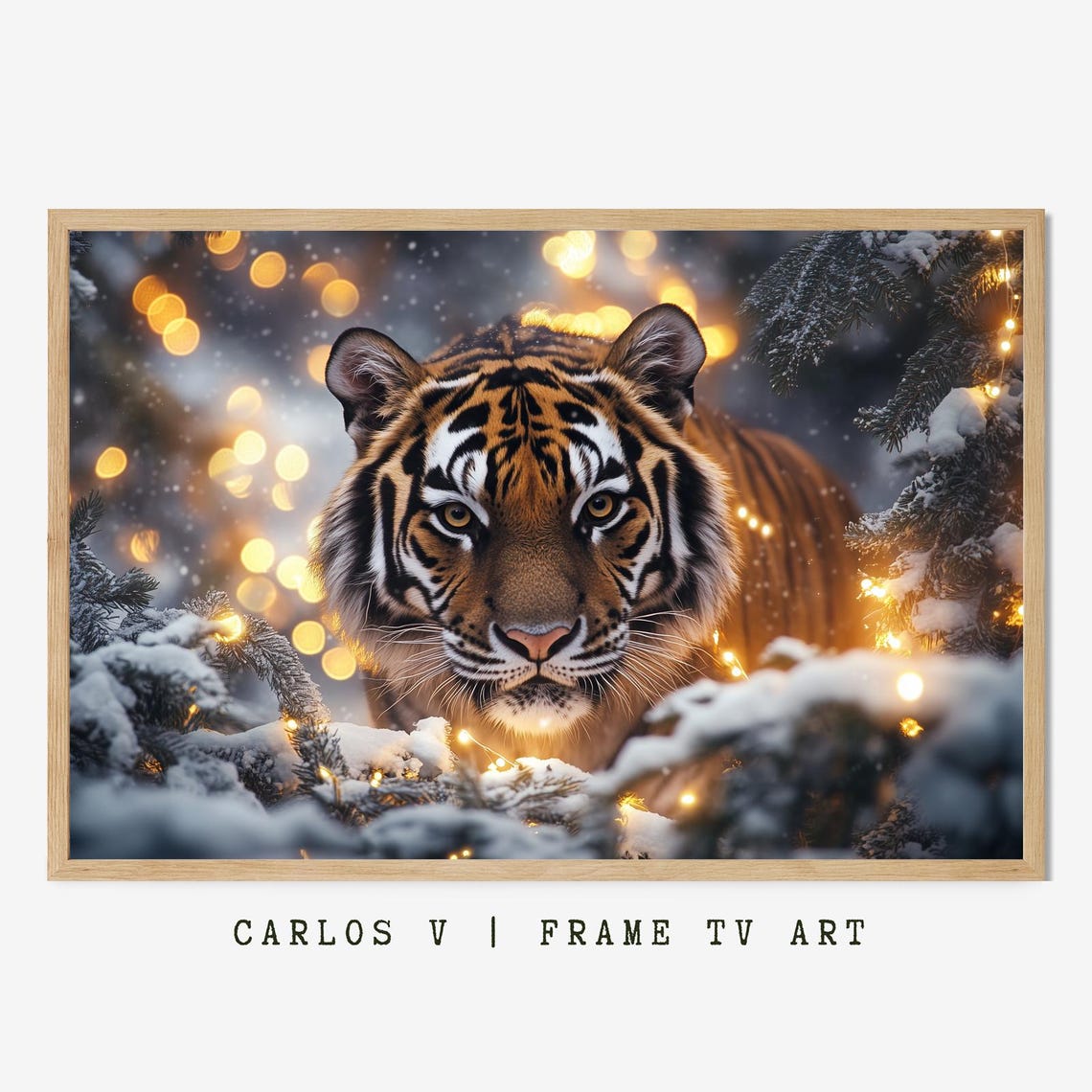 Tiger Peeking Through Snowy Pines With Holiday Lights Poster