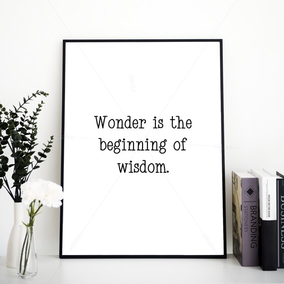 Socrates Wonder Is the Beginning of Wisdom Philosophy Quote Wall Art