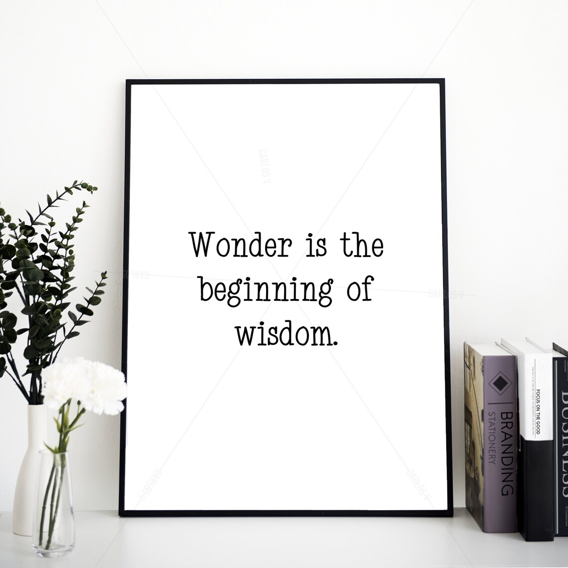 Socrates Wonder Is the Beginning of Wisdom Philosophy Quote Wall Art